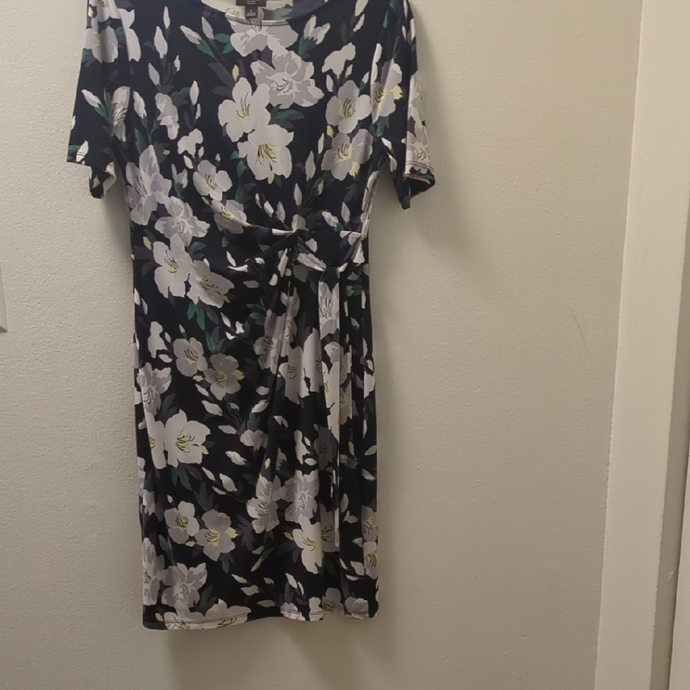 Ann Taylor Black and White Crew Neck Sheath Dress